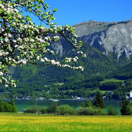 Hotel Seethurn 4*